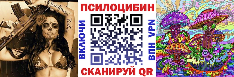 Псилоцибиновые грибы Psilocybe Фокино